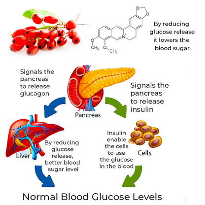 GFOUK™ SugarSync Health Control Aerosolizer